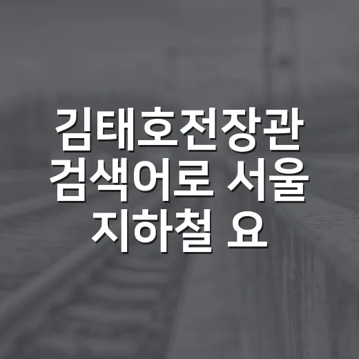 김태호전장관 검색어로 서울 지하철 요금 흐름 읽는 방법 - 요약