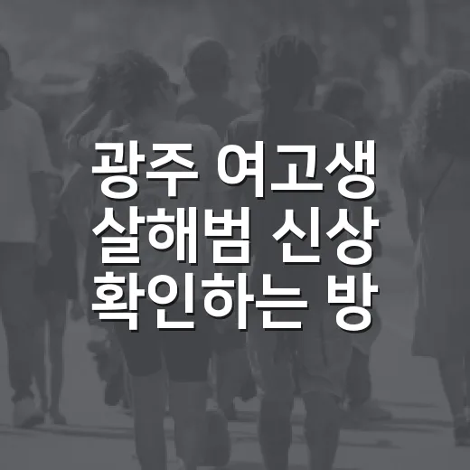 광주 여고생 살해범 신상 확인하는 방법: 공식 공개 내용만 보는 기준 - 요약