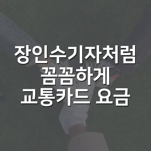 장인수기자처럼 꼼꼼하게 교통카드 요금 확인하는 방법 - 요약