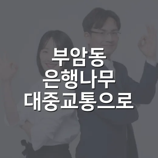 부암동 은행나무 대중교통으로 가는 방법, 버스·환승·도보 동선까지 - 요약