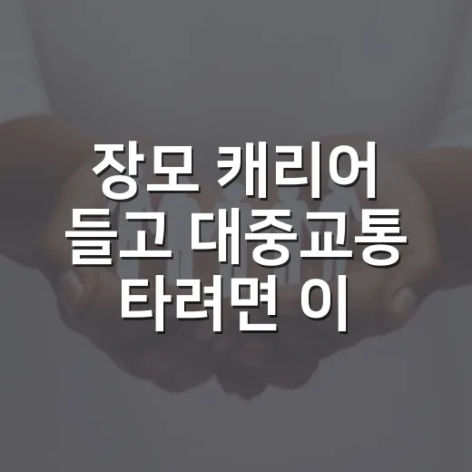 장모 캐리어 들고 대중교통 타려면 이렇게 고르면 편합니다 - 요약
