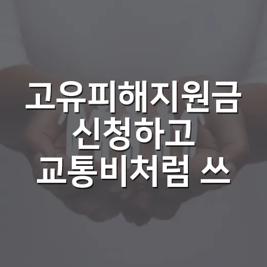 고유피해지원금 신청하고 교통비처럼 쓰려면 이렇게 확인하세요 - 요약