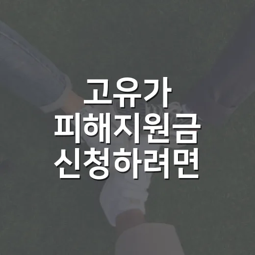 고유가 피해지원금 신청하려면 이렇게 확인하면 됩니다 - 요약