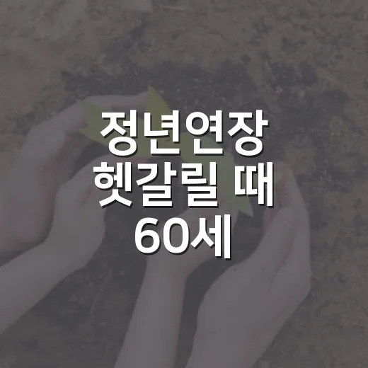 정년연장 헷갈릴 때 60세·65세·교통비까지 계산하는 방법 - 요약