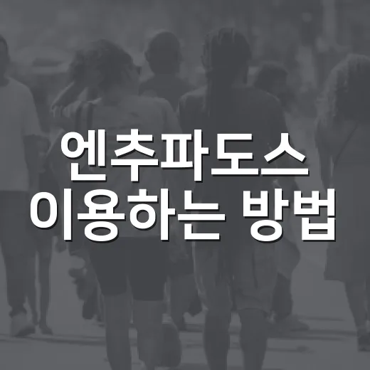 엔추파도스 이용하는 방법, 처음 헷갈리는 교통카드·충전·환승 감각 잡기 - 요약