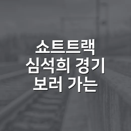 쇼트트랙 심석희 경기 보러 가는 방법, 목동아이스링크 교통비까지 아끼려면 이렇게 - 요약