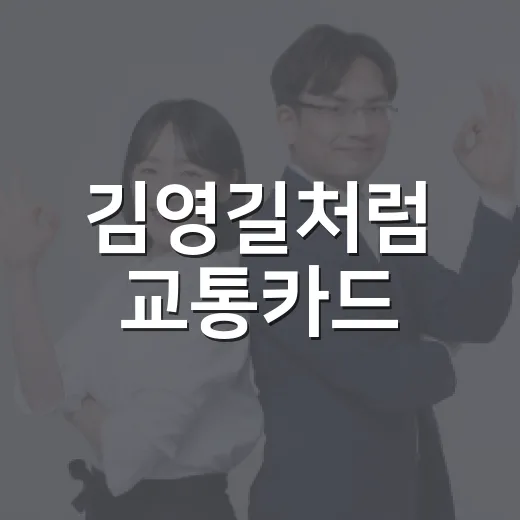 김영길처럼 교통카드·하이패스 요금 줄이려면 이렇게 확인하세요 - 요약