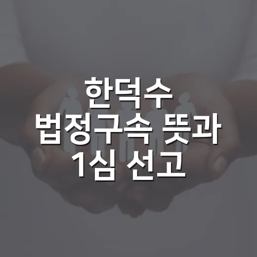 한덕수 법정구속 뜻과 1심 선고 흐름 이해하는 방법 - 요약
