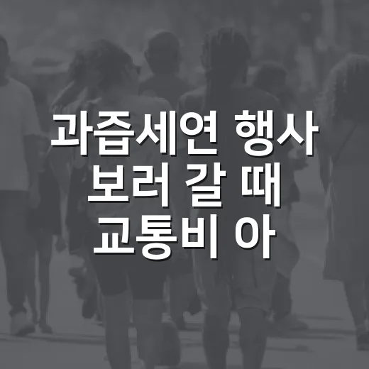 과즙세연 행사 보러 갈 때 교통비 아끼는 방법 - 요약