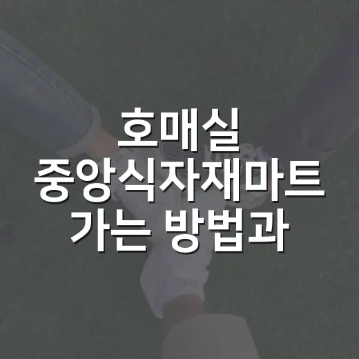 호매실 중앙식자재마트 가는 방법과 장보기 동선 잡는 법 - 요약