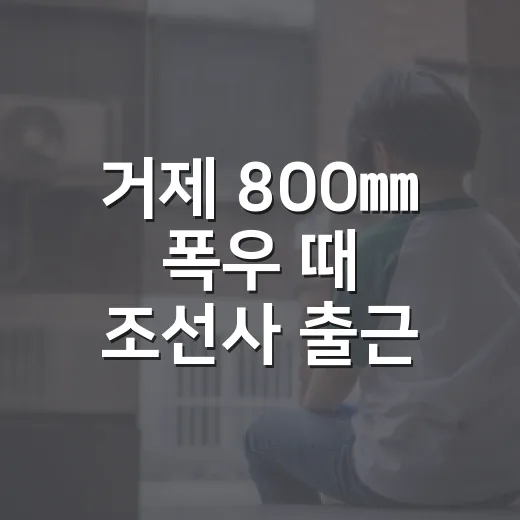 거제 800㎜ 폭우 때 조선사 출근 제한 확인하고 이동하는 방법 - 요약