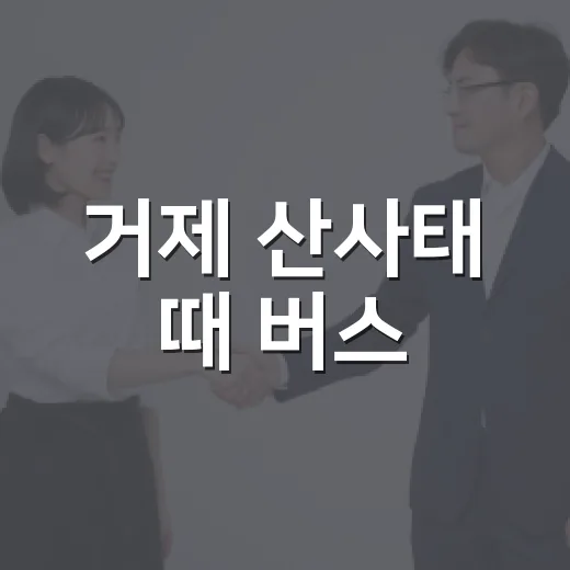 거제 산사태 때 버스·도로 우회하려면 이렇게 확인하세요 - 요약