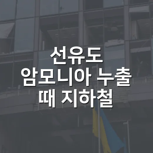 선유도 암모니아 누출 때 지하철·버스 이용하려면 이렇게 움직이세요 - 요약