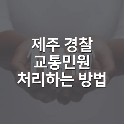 제주 경찰 교통민원 처리하는 방법, 렌터카 과태료부터 사고 신고까지 이렇게 챙기면 덜 헤맵니다 - 요약