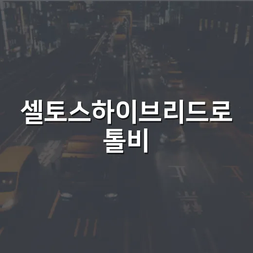 셀토스하이브리드로 톨비·주유비 계산하는 방법, 출퇴근러 기준으로 이렇게 보면 됩니다 - 요약