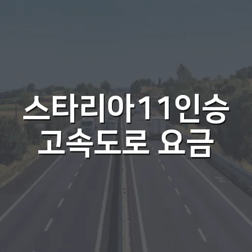스타리아11인승 고속도로 요금·하이패스·버스전용차로 이용하는 방법 - 요약