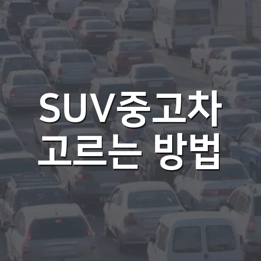 SUV중고차 고르는 방법, 출퇴근 요금까지 따져보면 이렇게 봅니다 - 요약