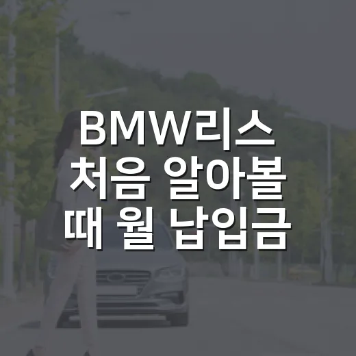BMW리스 처음 알아볼 때 월 납입금보다 먼저 계산하는 방법 - 요약
