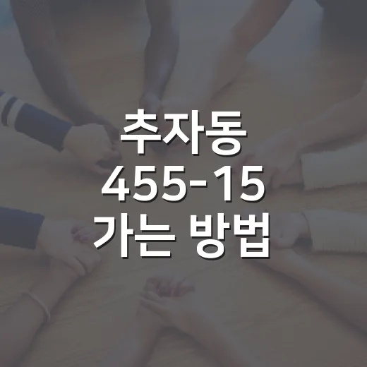 추자동 455-15 가는 방법, 버스 환승과 차량 우회 이렇게 잡으면 편합니다 - 요약