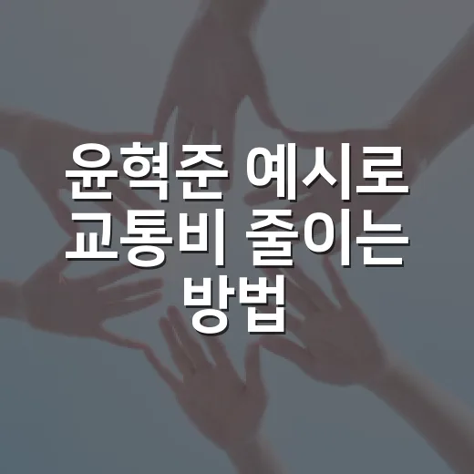 윤혁준 예시로 교통비 줄이는 방법: 환승·하이패스 체크 순서 - 요약