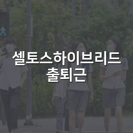 셀토스하이브리드 출퇴근·하이패스 비용 계산하는 방법 - 요약