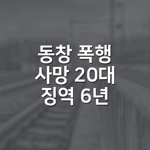 동창 폭행 사망 20대 징역 6년, 판결 기사 읽는 방법 - 요약