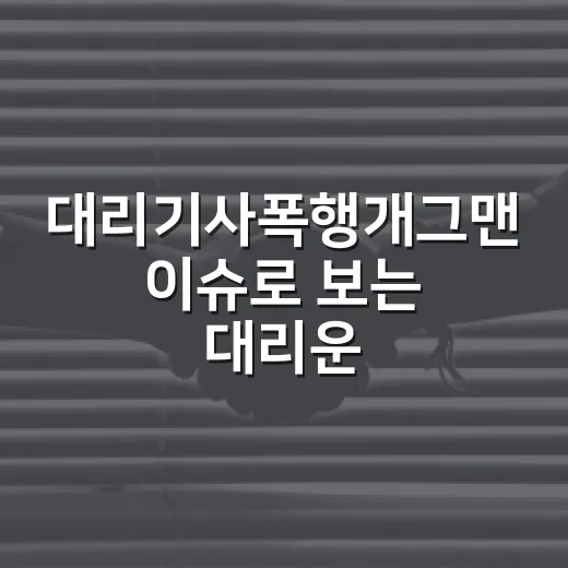 대리기사폭행개그맨 이슈로 보는 대리운전 안전하게 이용하는 방법 - 요약