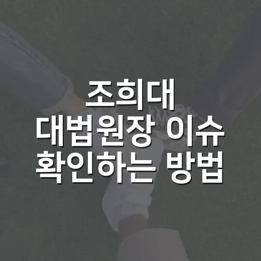 조희대 대법원장 이슈 확인하는 방법: 임명 절차부터 기사 읽는 순서까지 - 요약