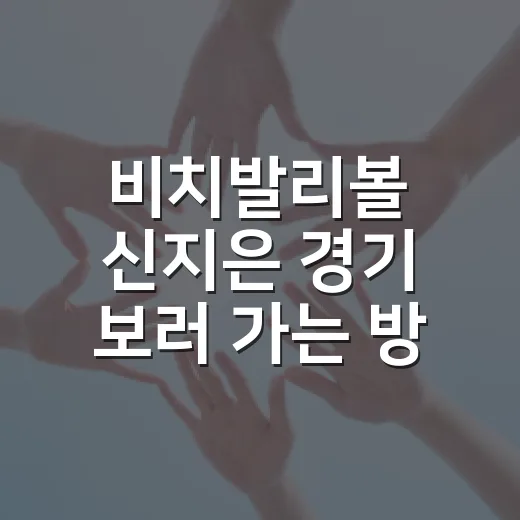 비치발리볼 신지은 경기 보러 가는 방법, 헤키난 이동 동선까지 - 요약