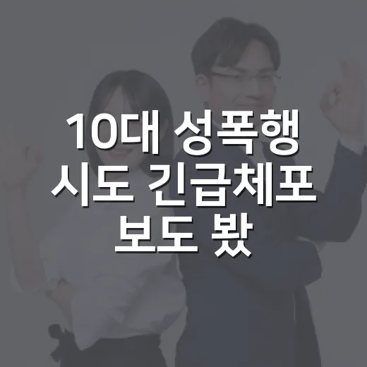 10대 성폭행 시도 긴급체포 보도 봤을 때 동선 기록 지키는 방법 - 요약