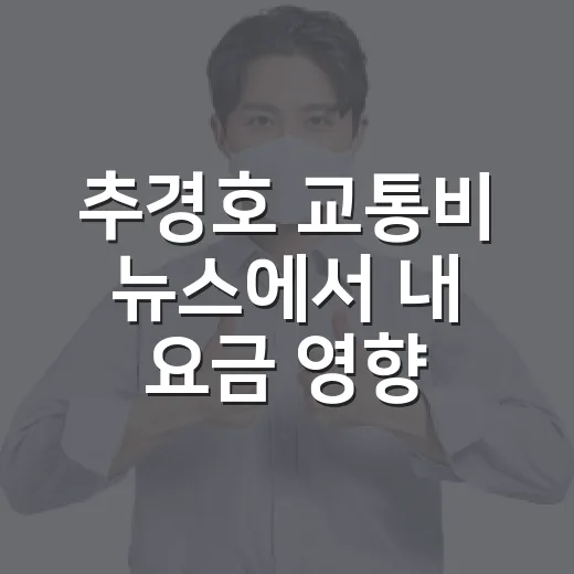 추경호 교통비 뉴스에서 내 요금 영향 계산하는 방법 - 요약