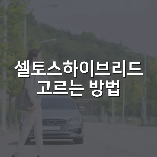 셀토스하이브리드 고르는 방법, 연비와 하이패스까지 계산하는 법 - 요약