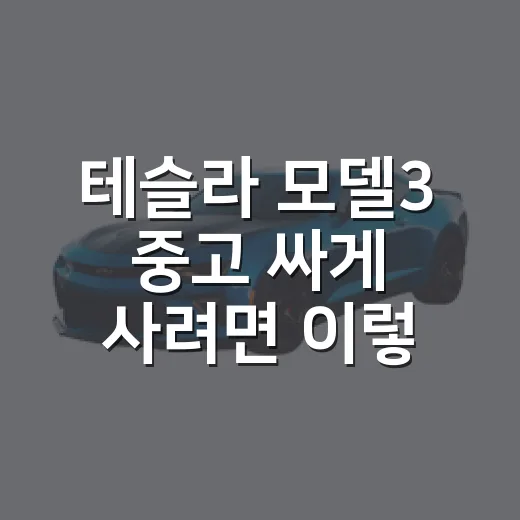 테슬라 모델3 중고 싸게 사려면 이렇게 보는 방법 - 요약
