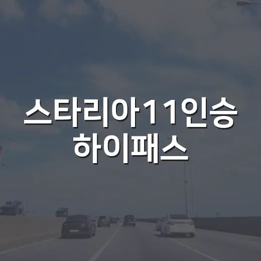 스타리아11인승 하이패스·버스전용차로 이용하려면 이렇게 확인하세요 - 요약