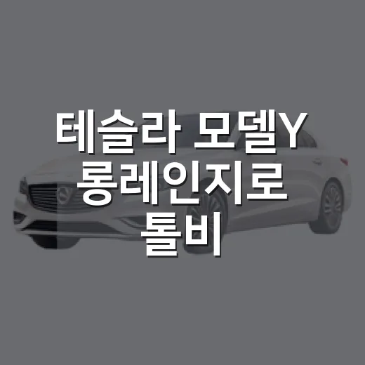테슬라 모델Y 롱레인지로 톨비·충전비 아끼는 방법 - 요약