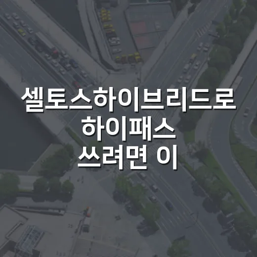 셀토스하이브리드로 하이패스 쓰려면 이렇게 준비하면 됩니다 - 요약