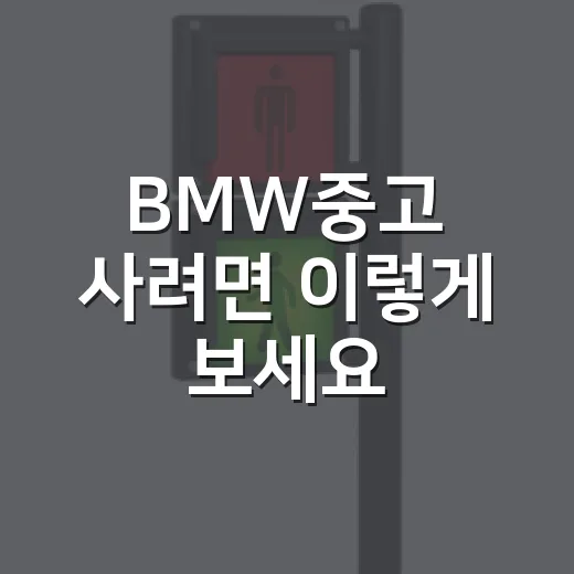 BMW중고 사려면 이렇게 보세요: 출퇴근 요금까지 따지는 현실 체크 방법 - 요약