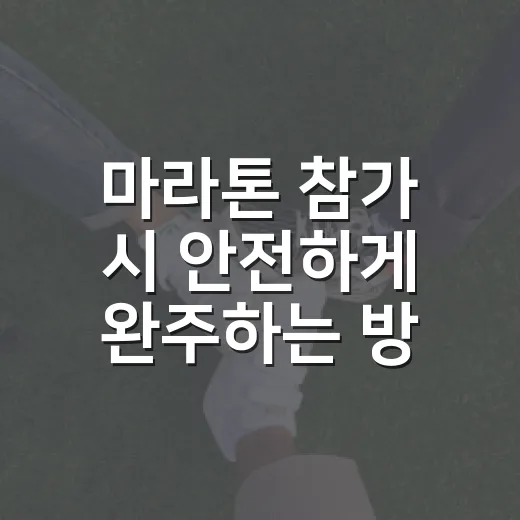 마라톤 참가 시 안전하게 완주하는 방법 - 요약