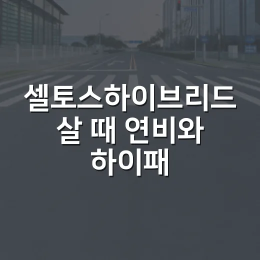 셀토스하이브리드 살 때 연비와 하이패스 따지는 방법 - 요약