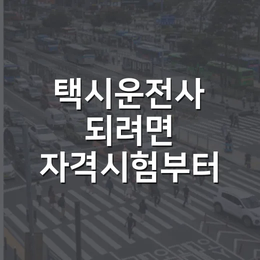 택시운전사 되려면 자격시험부터 준비하는 방법 - 요약