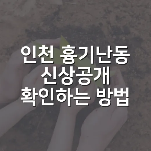 인천 흉기난동 신상공개 확인하는 방법 - 요약