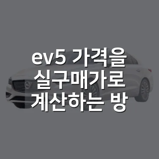 ev5 가격을 실구매가로 계산하는 방법 - 요약