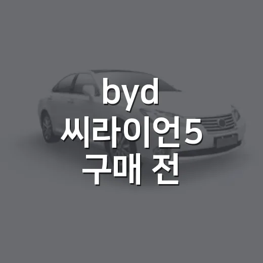 byd 씨라이언5 구매 전 유지비 따져보는 방법 - 요약
