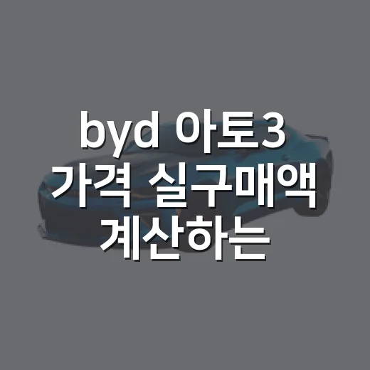 byd 아토3 가격 실구매액 계산하는 방법 - 요약