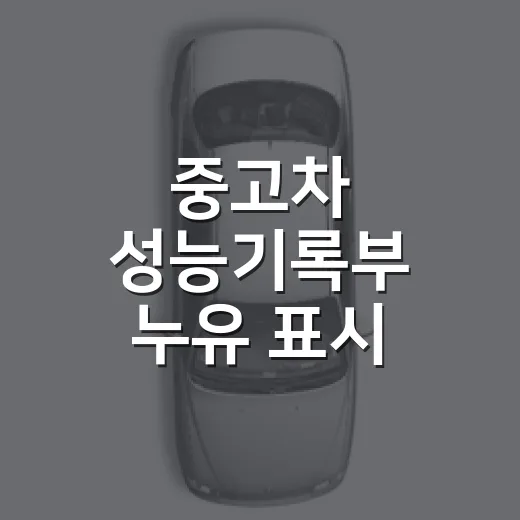 중고차 성능기록부 누유 표시 확인하는 방법 - 요약