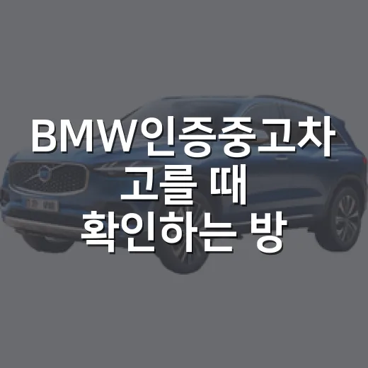 BMW인증중고차 고를 때 확인하는 방법 - 요약