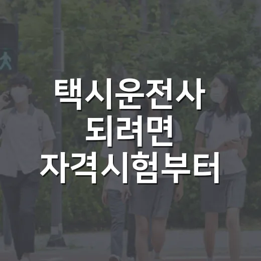 택시운전사 되려면 자격시험부터 준비하는 방법 - 요약