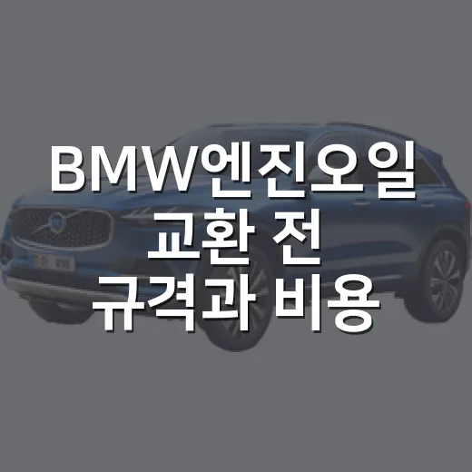 BMW엔진오일 교환 전 규격과 비용 확인하는 방법 - 요약