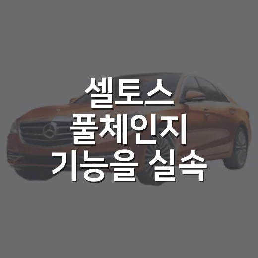 셀토스 풀체인지 기능을 실속 있게 고르는 방법 - 요약