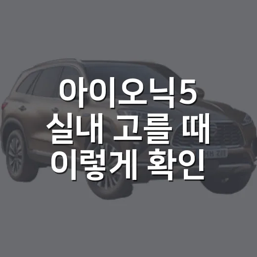 아이오닉5 실내 고를 때 이렇게 확인하세요 - 요약